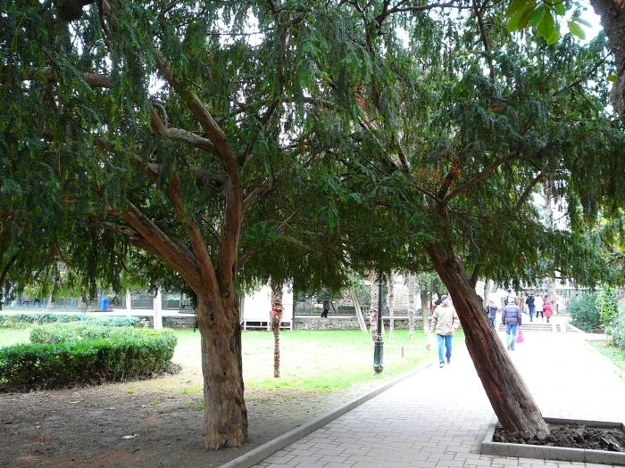p1720101.jpg