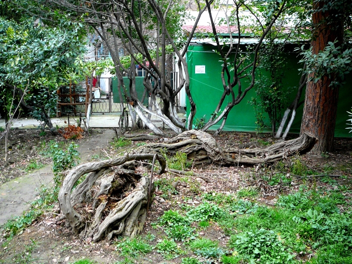 p1720103.jpg
