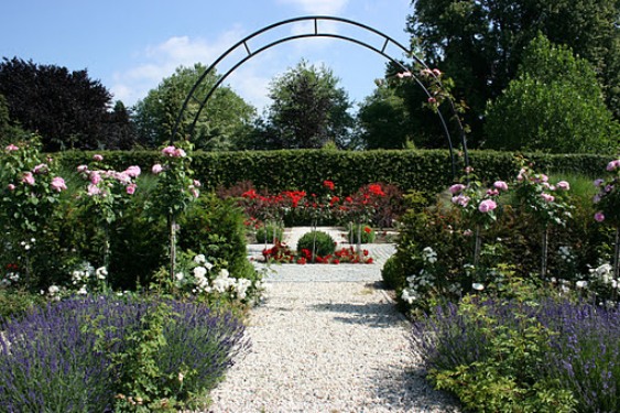 roozenhuys_0031.jpg