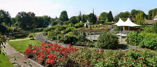 steinfurth_0059.jpg