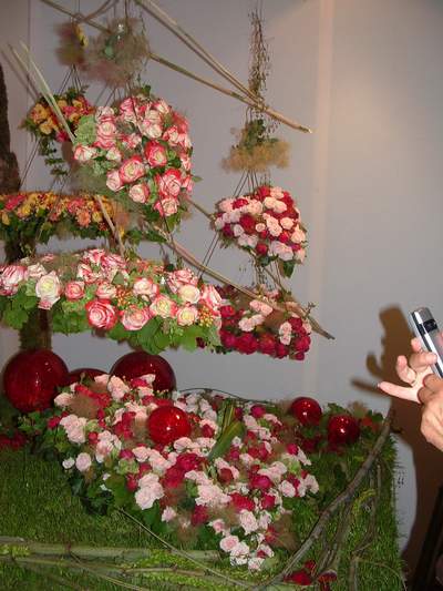steinfurth_0062.jpg