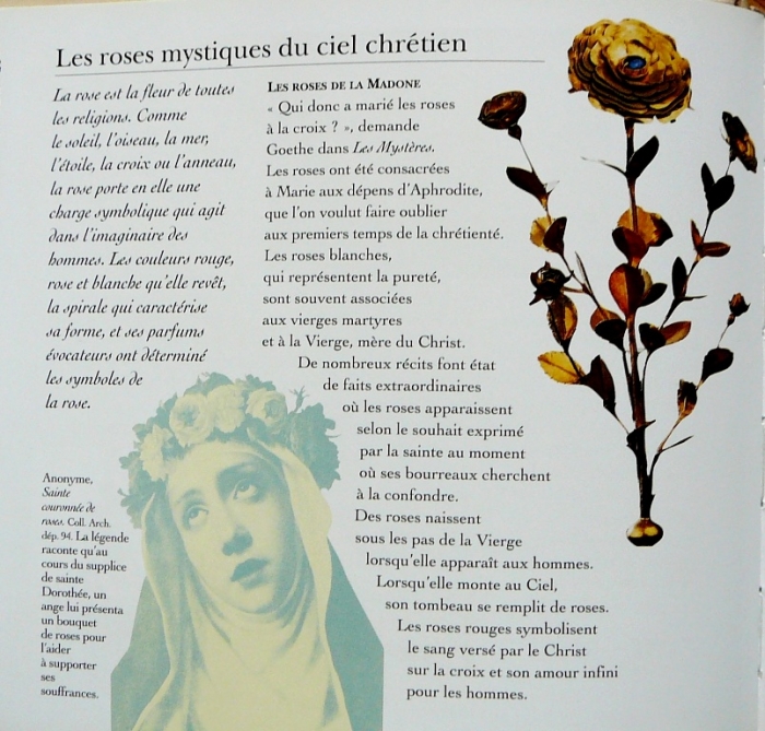 p1770001.jpg