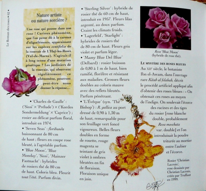 p1770002.jpg