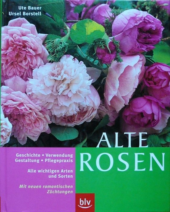 p1770030.jpg