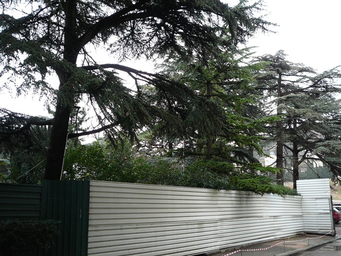 yalta_square_2012_001.jpg