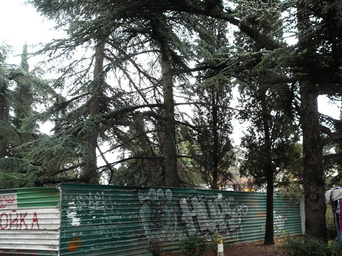 yalta_square_2012_002.jpg